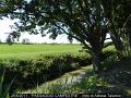 112_Paesaggio Campestre-2-800